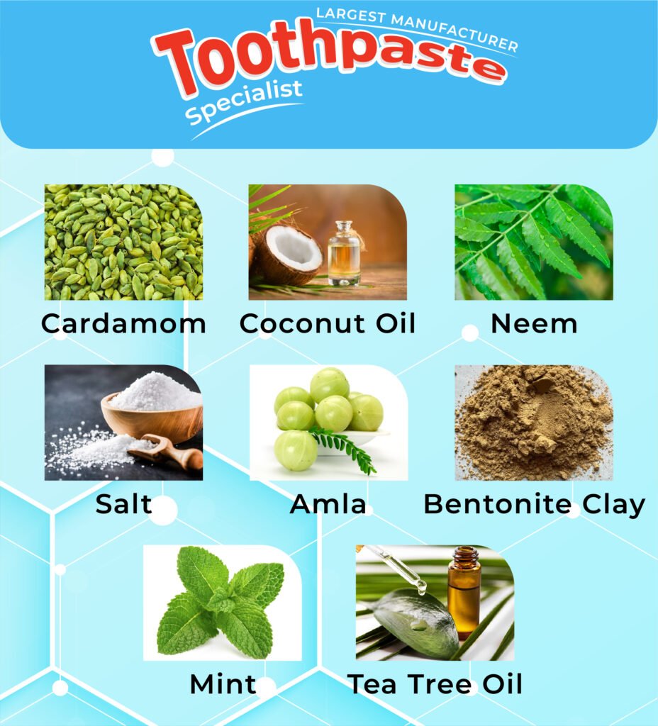 TS Ingredients Medicated Toothpaste