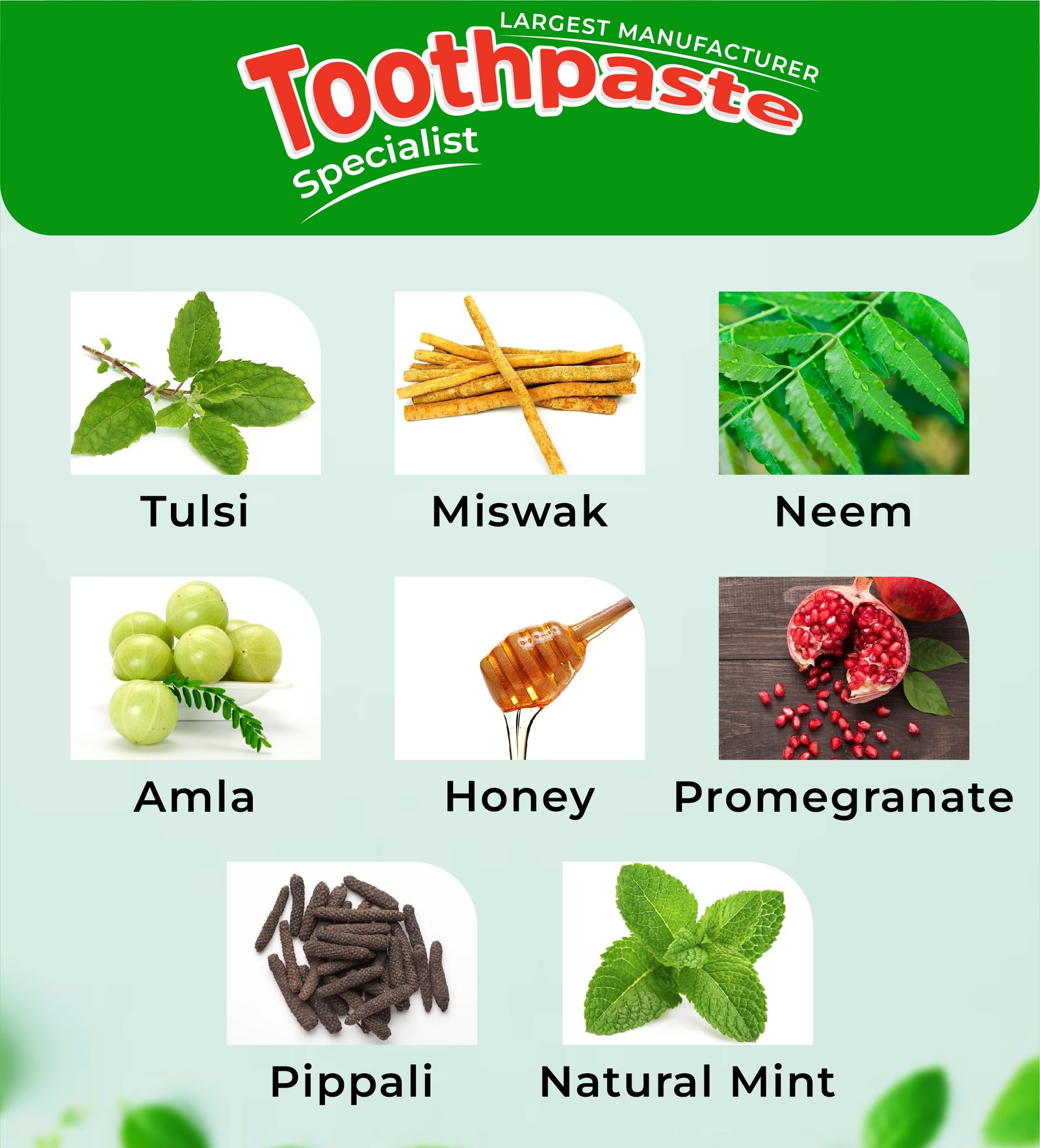 A green advertisement for toothpaste featuring images and names of ingredients: Tulsi leaves, Miswak sticks, Neem leaves, Amla fruit, Honey, Pomegranate, Pippali, and Natural Mint leaves. Text at the top reads Largest Manufacturer Specialist.