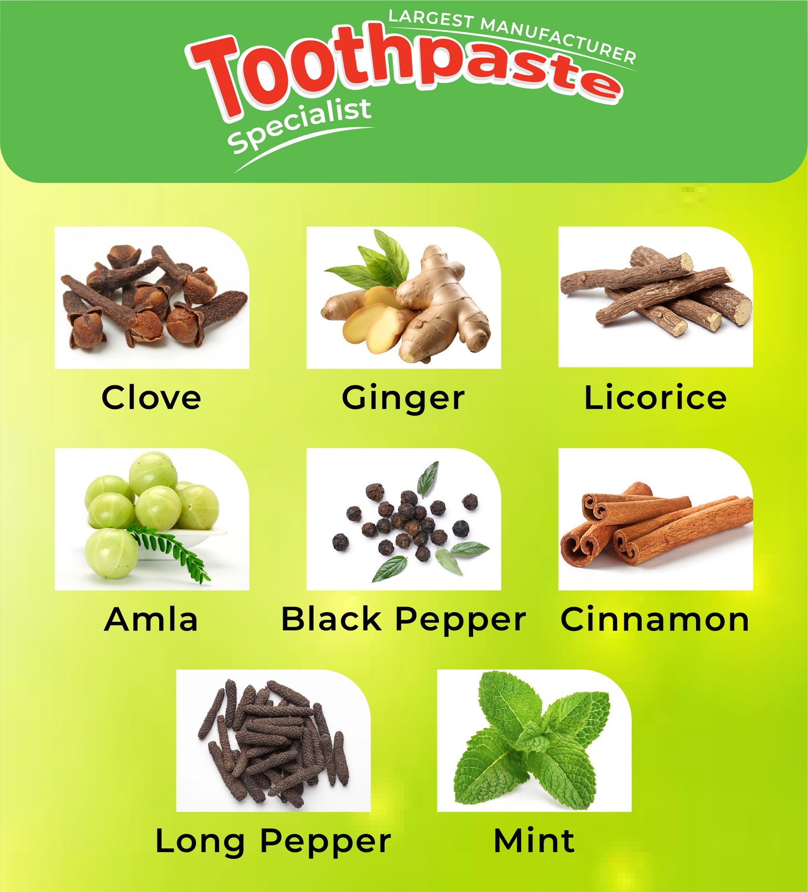 Image showing various ingredients with text; Toothpaste Specialist - Largest Manufacturer. Ingredients pictured: Clove, Ginger, Licorice, Amla, Black Pepper, Cinnamon, Long Pepper, Mint. Each is depicted with corresponding images.