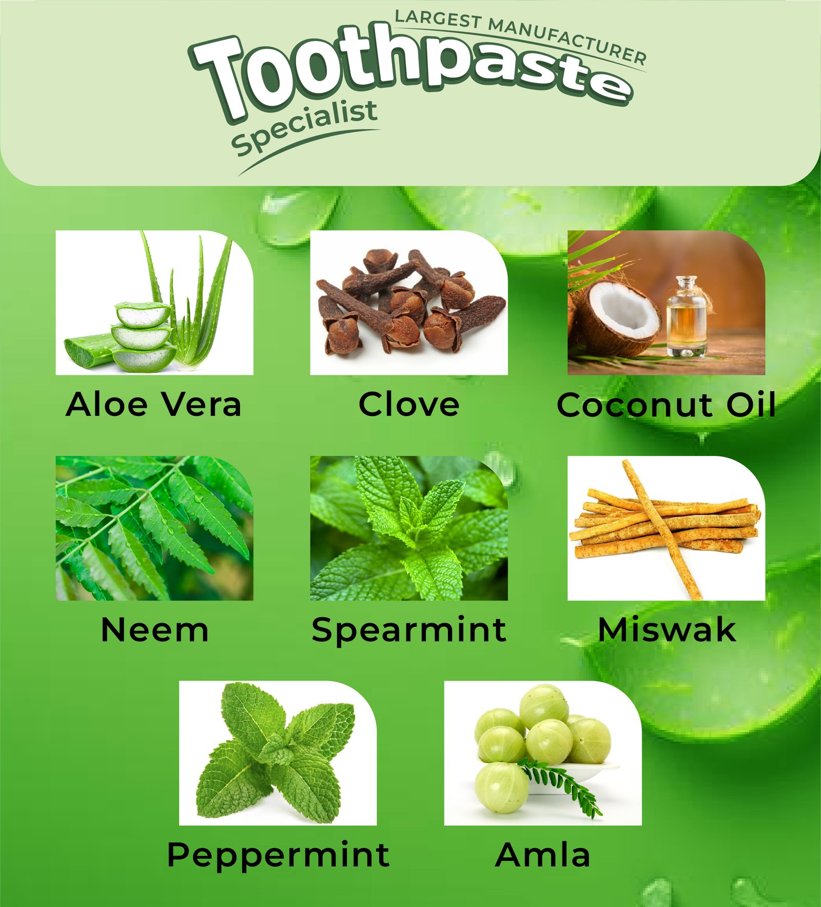 A toothpaste advertisement featuring images of aloe vera, clove, coconut oil, neem, spearmint, miswak, peppermint, and amla. Each ingredient is represented by a picture and corresponding label. Top text reads Toothpaste Specialist.