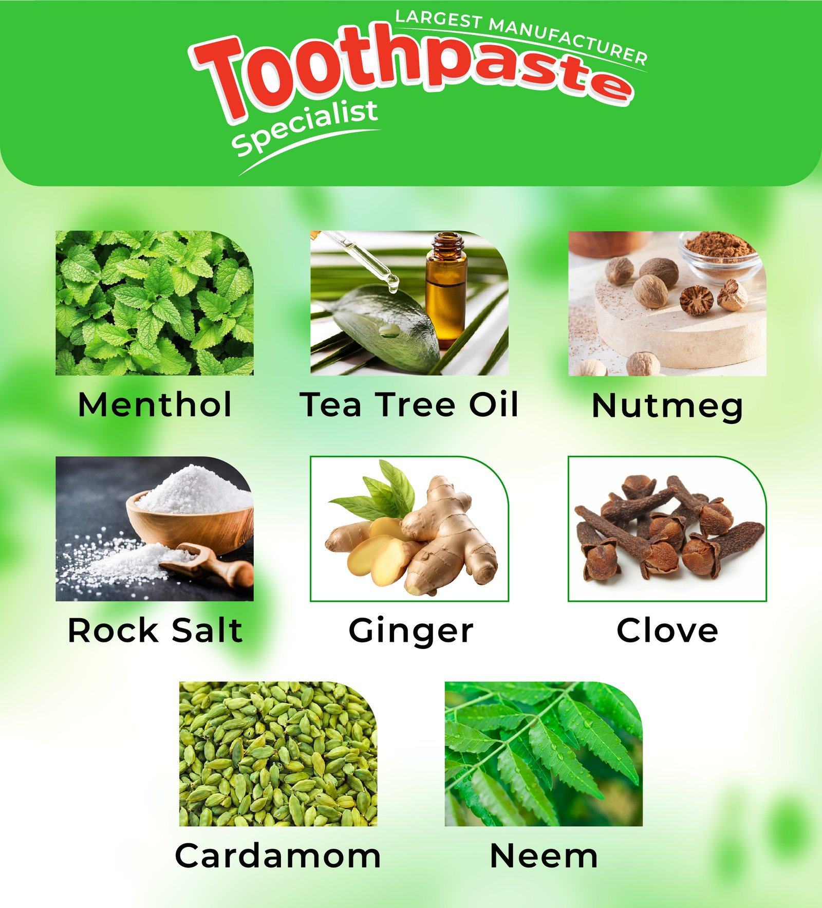 A promotional image for a toothpaste brand featuring key ingredients list: menthol, tea tree oil, nutmeg, rock salt, ginger, clove, cardamom, and neem. Each ingredient is represented by a corresponding photo. Text above reads Toothpaste Specialist.